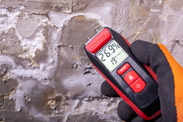 Best Localized Mold Remediation (e.g., coastal areas, humid climates) in Greenfield, CA