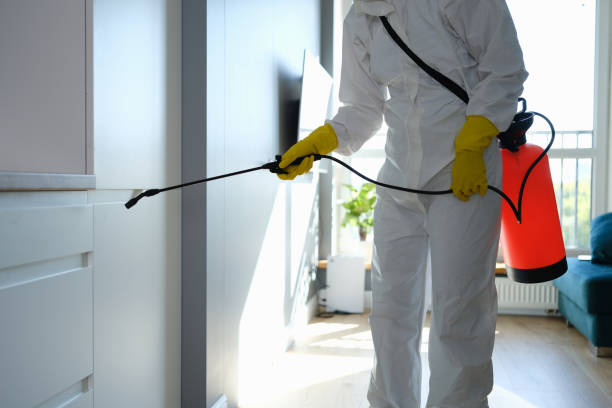 Best Attic Mold Remediation in Greenfield, CA